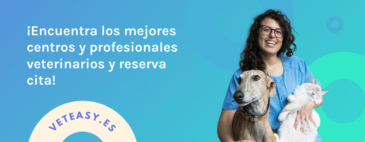 Veteasy directory info