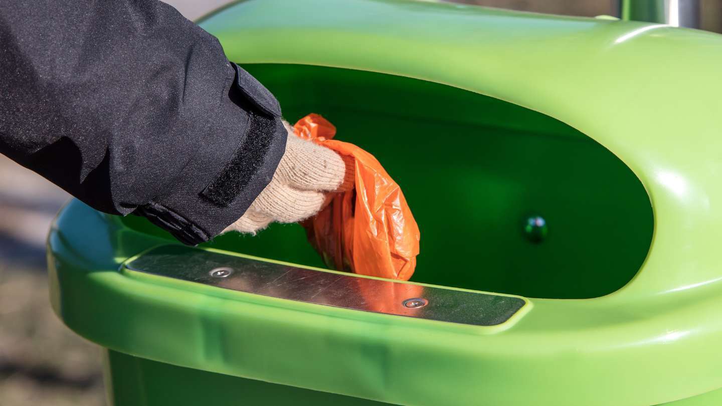 formas-de-recoger-el-excremento-de-tu-perro-conocelas