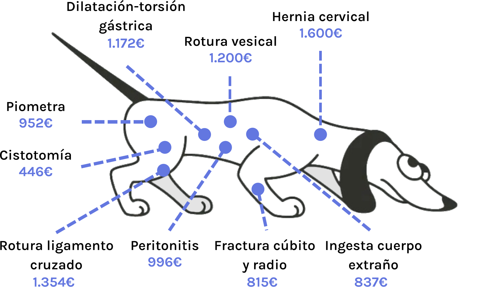 perro