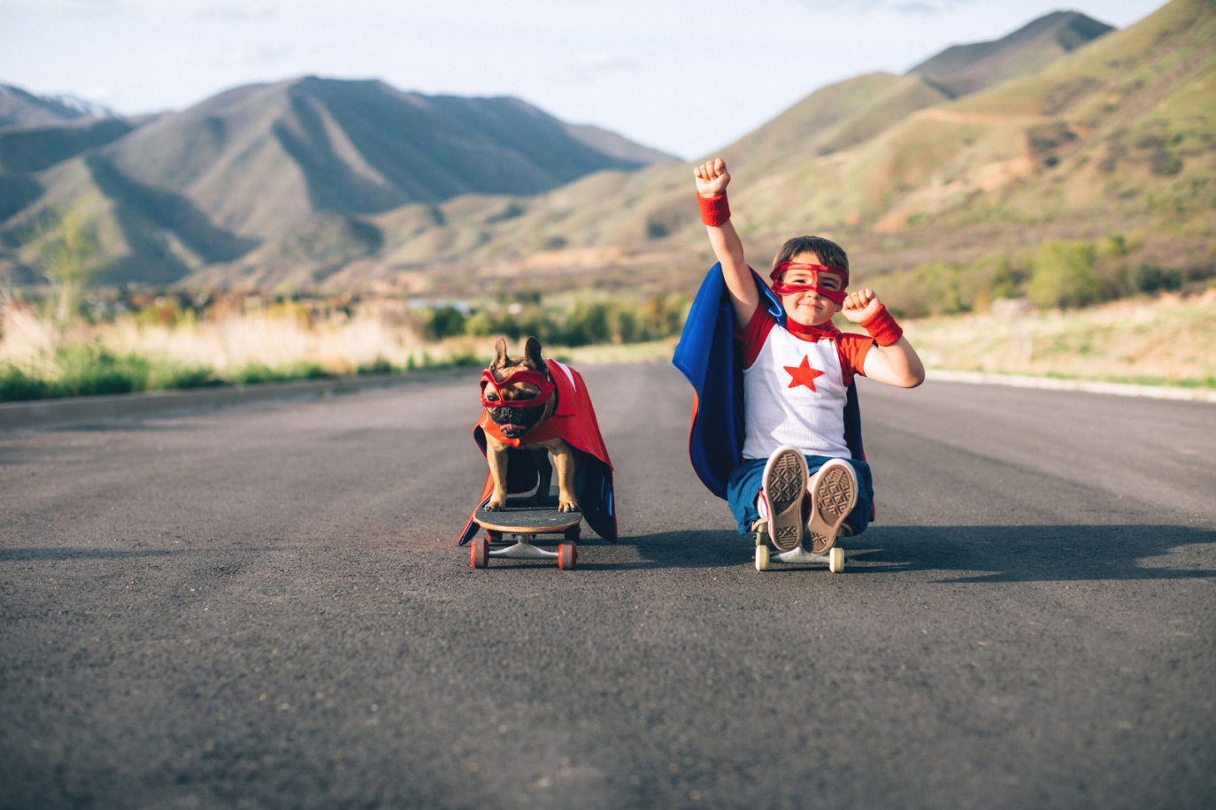 perro patinador