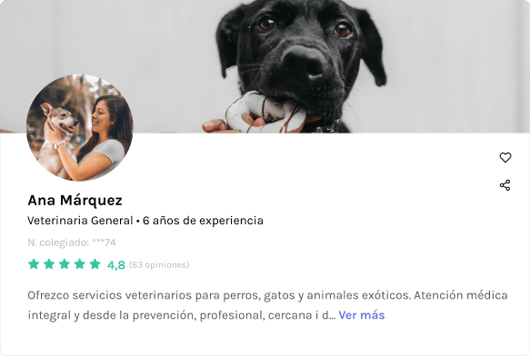 Veterinario freelance