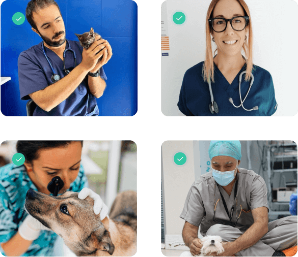 Veterinarios verificados